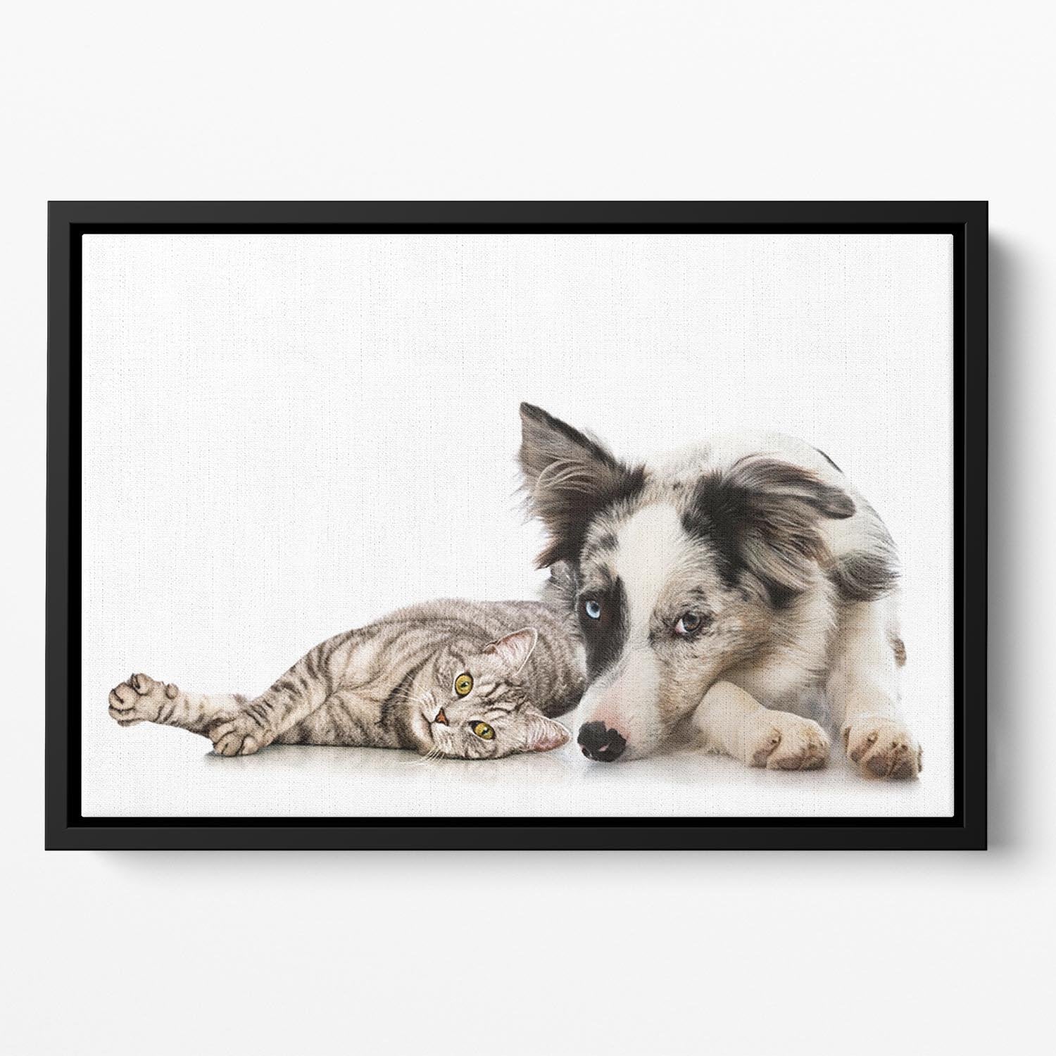 Cat and dog Floating Framed Canvas - Canvas Art Rocks - 2