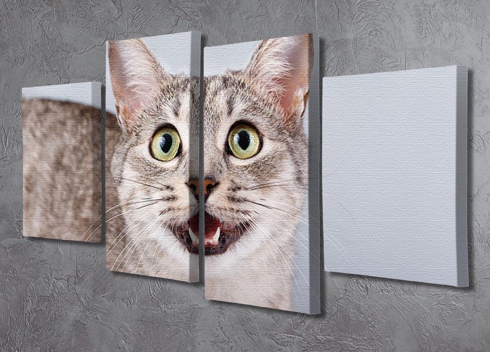Cat meows 4 Split Panel Canvas - Canvas Art Rocks - 2