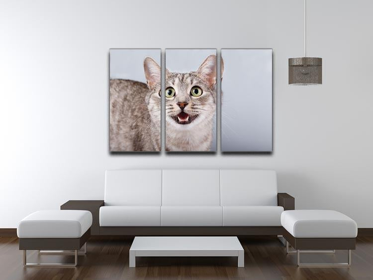 Cat meows gray tabby Shorthair 3 Split Panel Canvas Print - Canvas Art Rocks - 3
