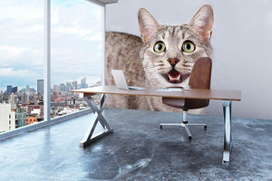 Cat meows gray tabby Shorthair Wall Mural Wallpaper - Canvas Art Rocks - 3