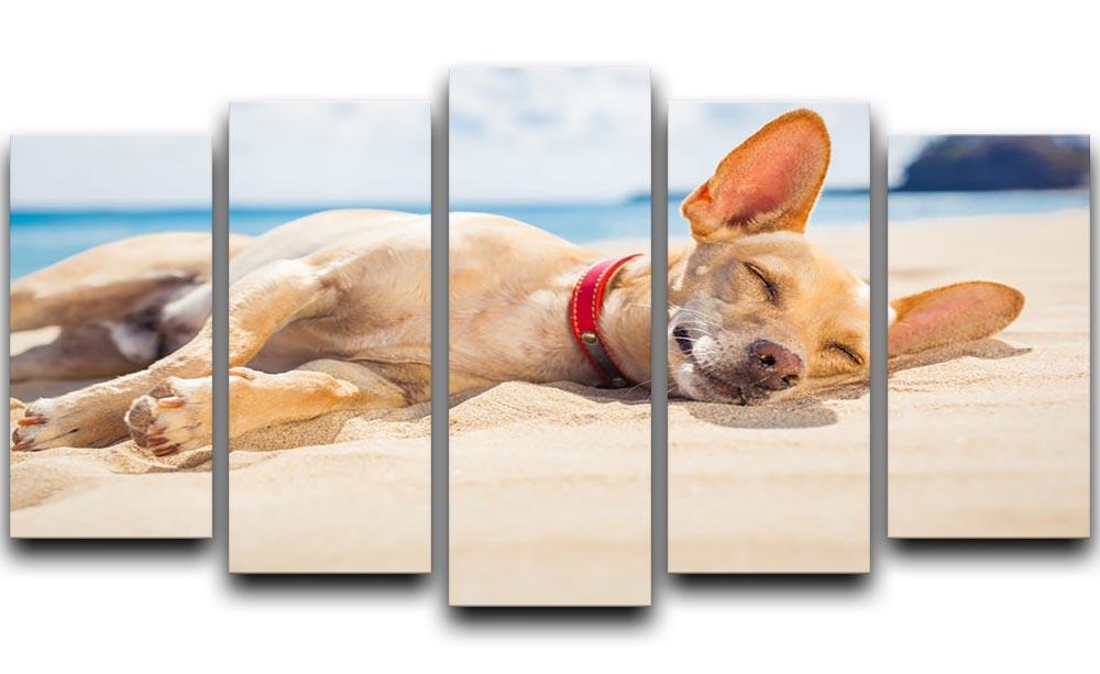 Chihuahua dog relaxing and resting 5 Split Panel Canvas - Canvas Art Rocks - 1