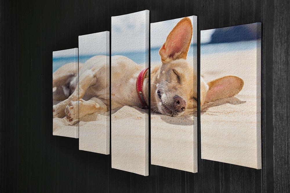 Chihuahua dog relaxing and resting 5 Split Panel Canvas - Canvas Art Rocks - 2