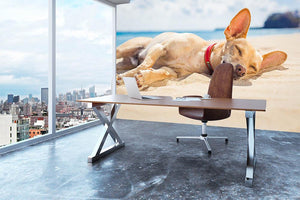 Chihuahua dog relaxing and resting Wall Mural Wallpaper - Canvas Art Rocks - 3