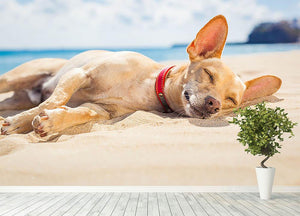 Chihuahua dog relaxing and resting Wall Mural Wallpaper - Canvas Art Rocks - 4
