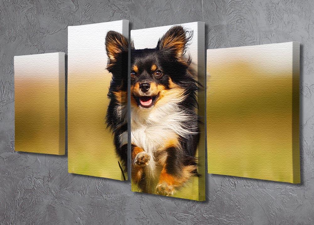 Chihuahua dog running towards the camera in a grass field 4 Split Panel Canvas - Canvas Art Rocks - 2