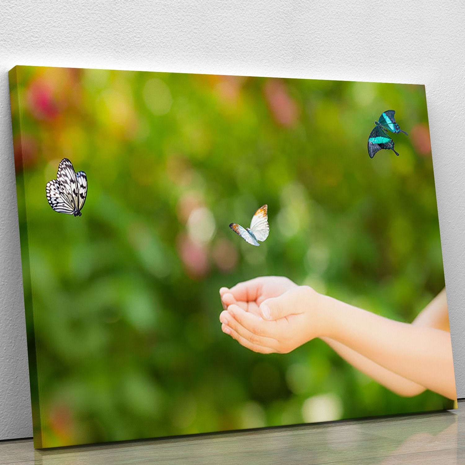 Children hands and flying butterfly Canvas Print or Poster