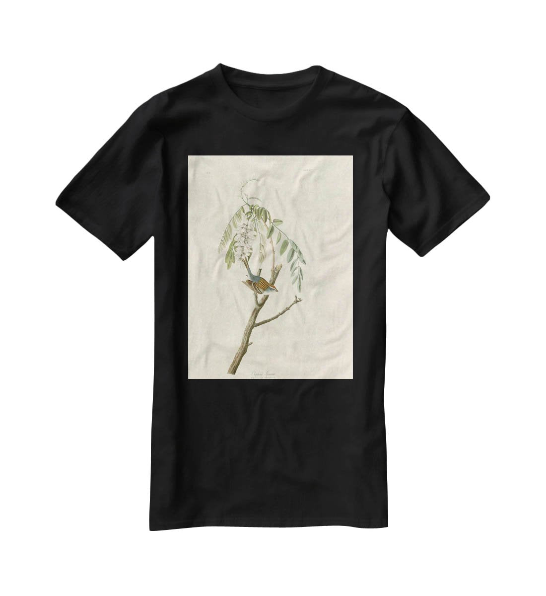 Chipping Sparrow by Audubon T-Shirt - Canvas Art Rocks - 1