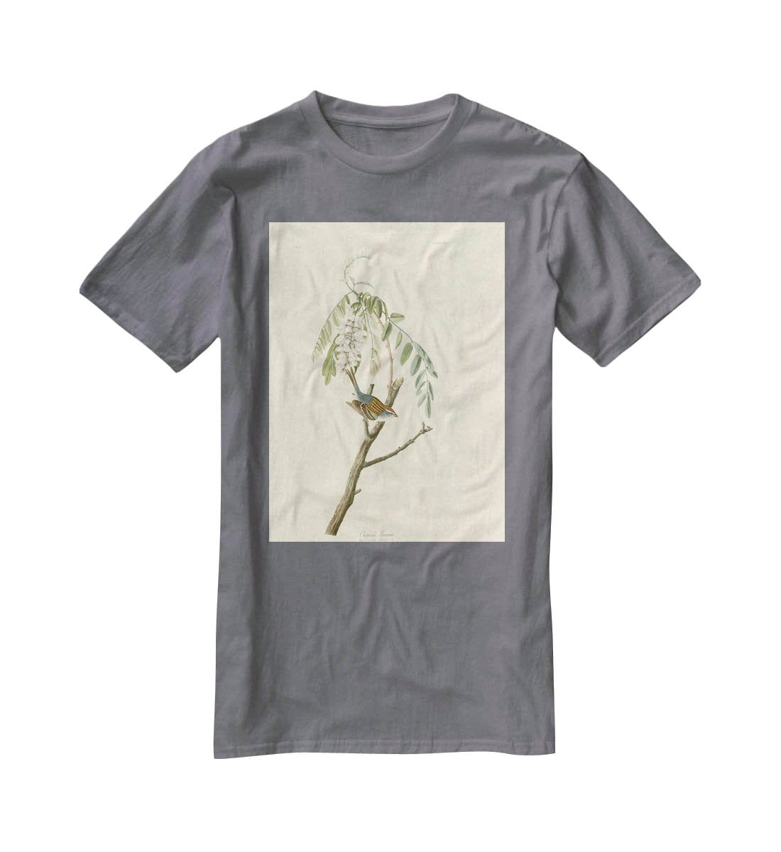 Chipping Sparrow by Audubon T-Shirt - Canvas Art Rocks - 3