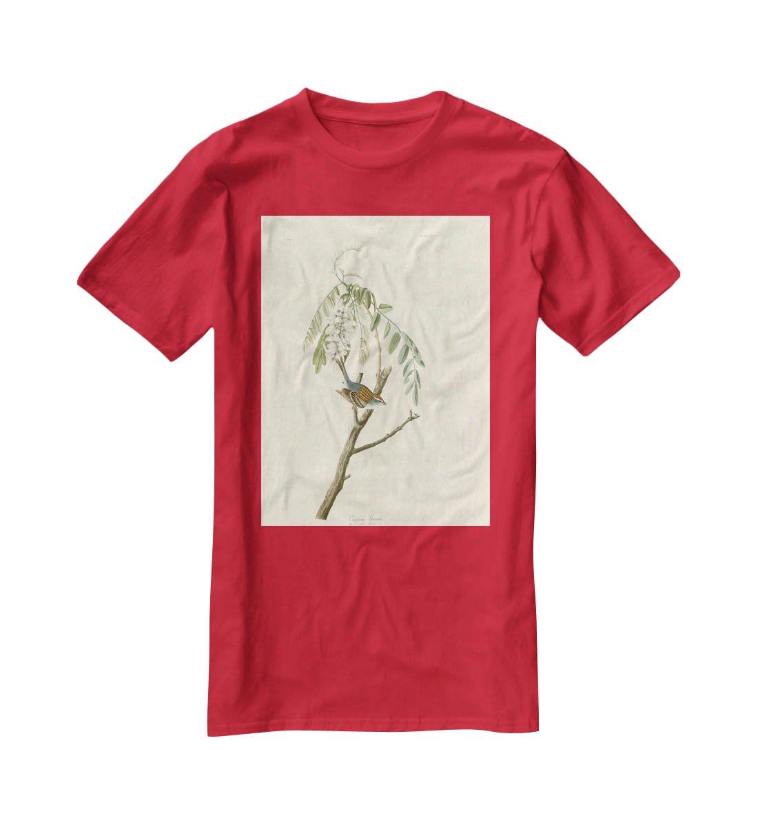 Chipping Sparrow by Audubon T-Shirt - Canvas Art Rocks - 4