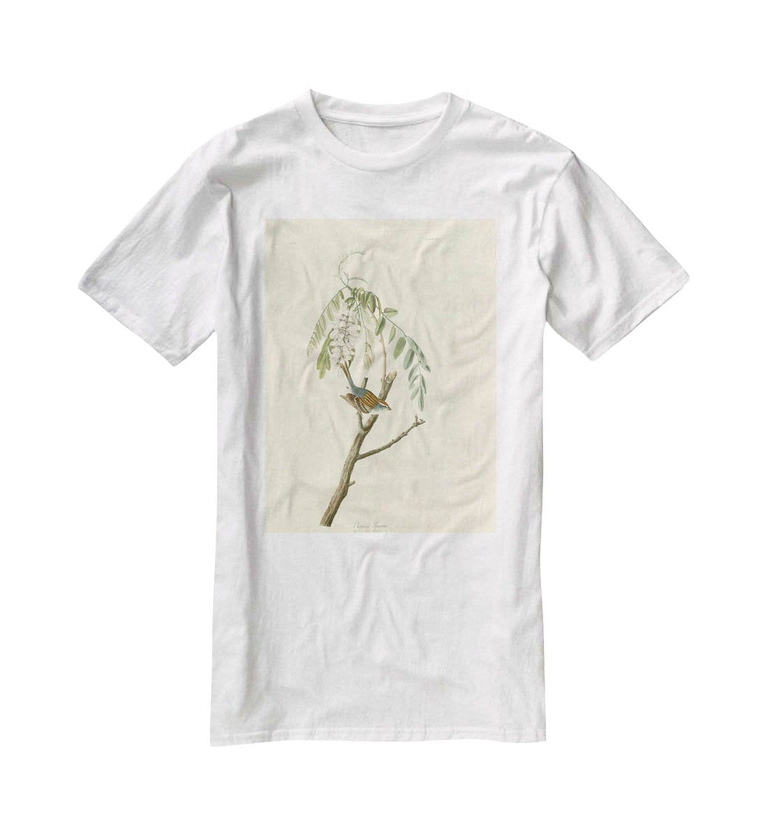 Chipping Sparrow by Audubon T-Shirt - Canvas Art Rocks - 5