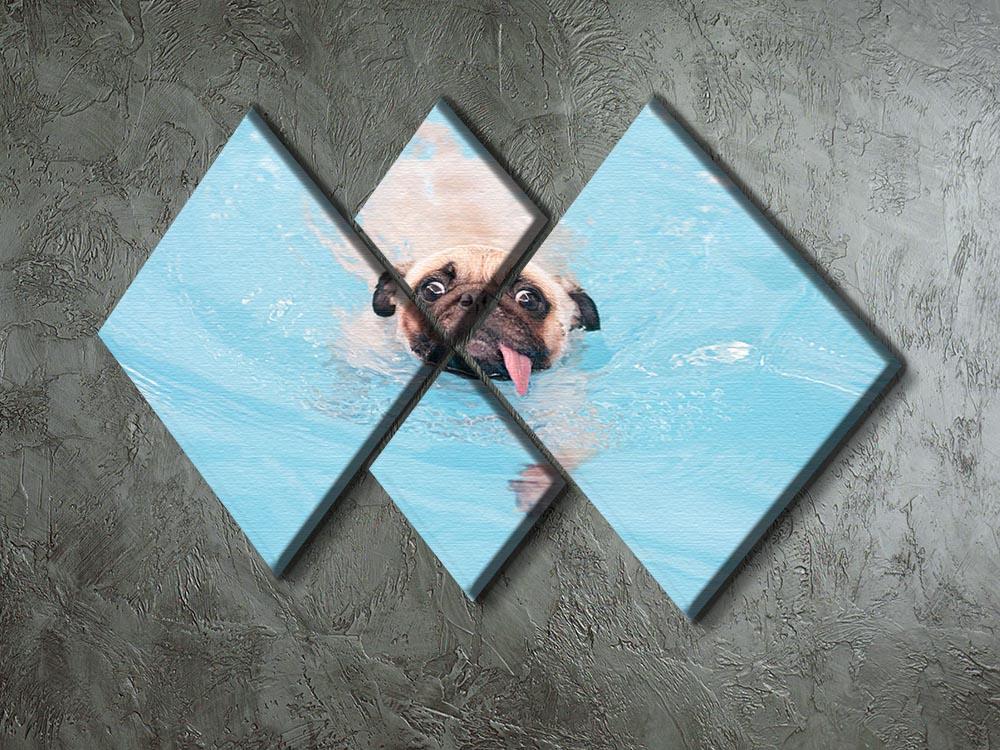 Close-up a cute dog puppy Pug 4 Square Multi Panel Canvas - Canvas Art Rocks - 2
