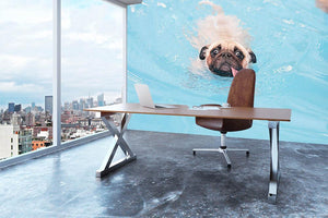 Close-up a cute dog puppy Pug Wall Mural Wallpaper - Canvas Art Rocks - 3