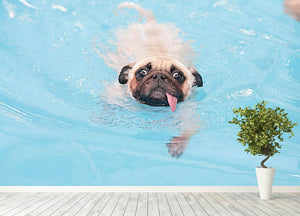 Close-up a cute dog puppy Pug Wall Mural Wallpaper - Canvas Art Rocks - 4