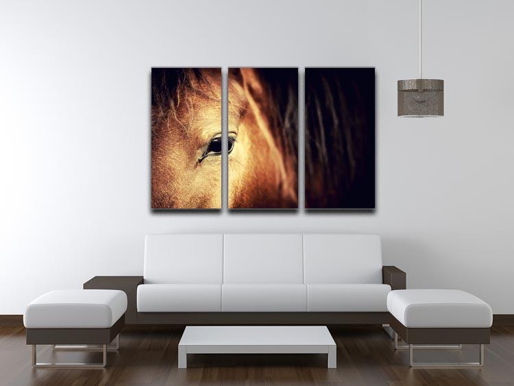 Close-up eye of Arabian bay horse on dark 3 Split Panel Canvas Print - Canvas Art Rocks - 3