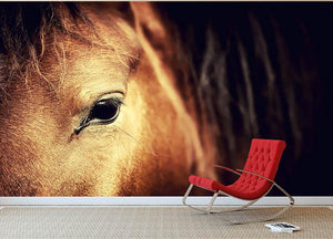 Close-up eye of Arabian bay horse on dark Wall Mural Wallpaper - Canvas Art Rocks - 2
