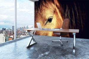 Close-up eye of Arabian bay horse on dark Wall Mural Wallpaper - Canvas Art Rocks - 3