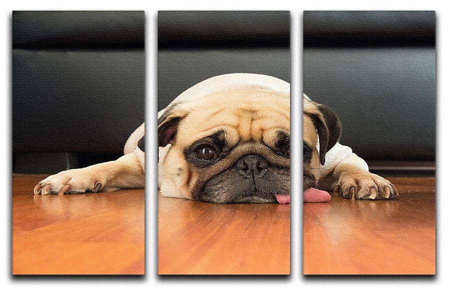 Close-up face of Cute pug 3 Split Panel Canvas Print - Canvas Art Rocks - 1