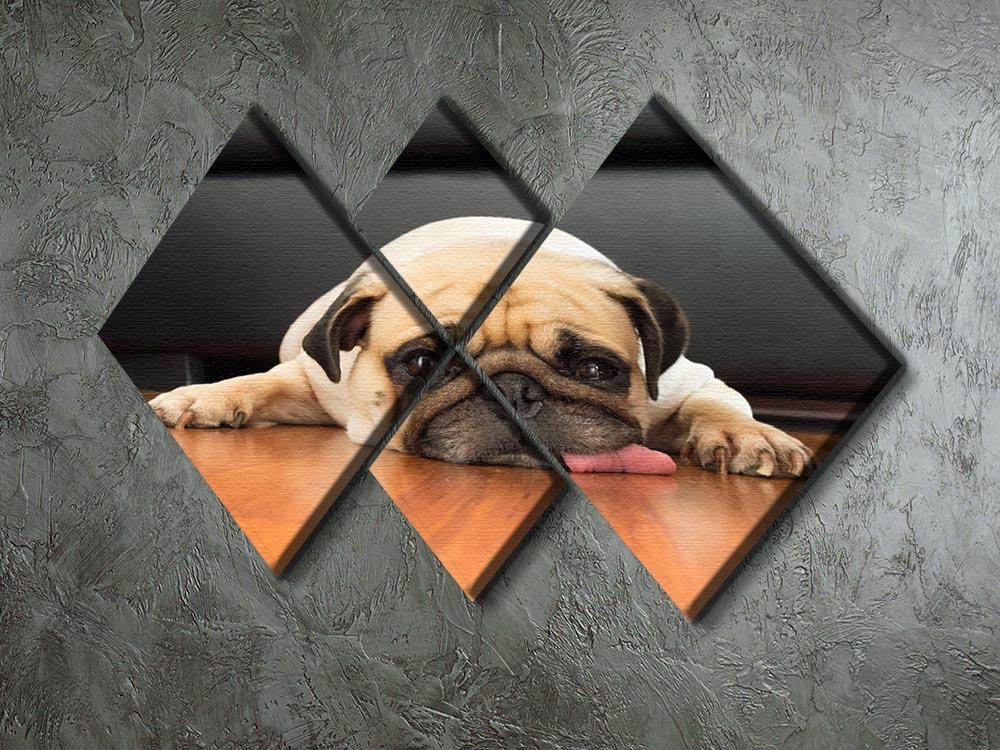 Close-up face of Cute pug 4 Square Multi Panel Canvas - Canvas Art Rocks - 2