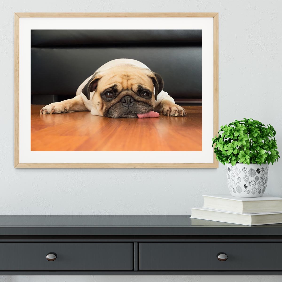 Close-up face of Cute pug Framed Print - Canvas Art Rocks - 3