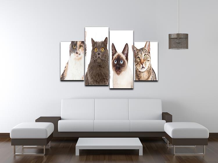 Close-up image of four different breed cats looking forward at the camera 4 Split Panel Canvas - Canvas Art Rocks - 3