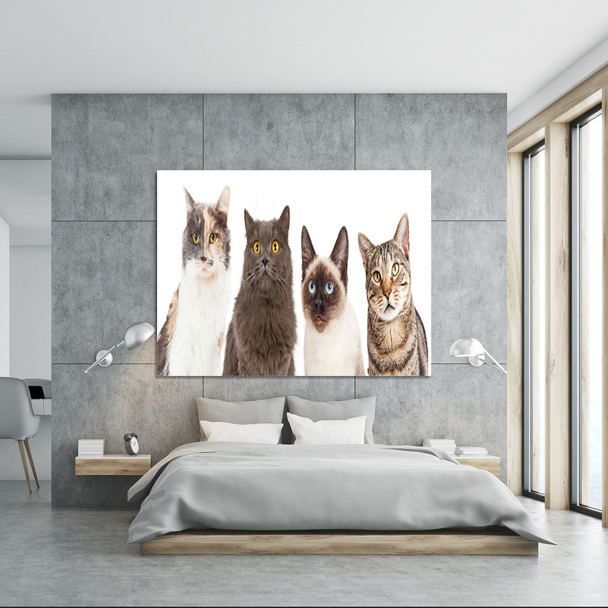 Close-up image of four different breed cats looking forward at the camera Canvas Print or Poster