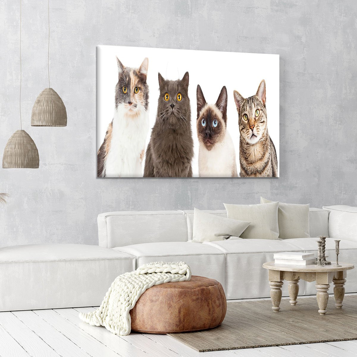Close-up image of four different breed cats looking forward at the camera Canvas Print or Poster