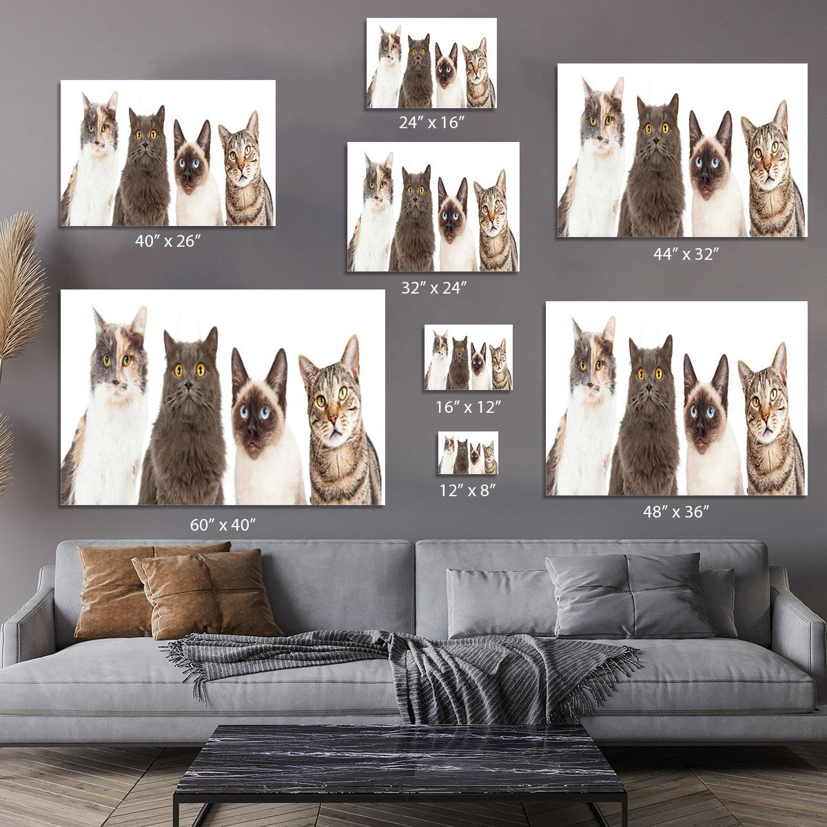 Close-up image of four different breed cats looking forward at the camera Canvas Print or Poster
