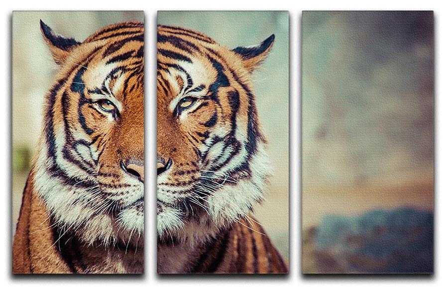Close-up of a Tigers face 3 Split Panel Canvas Print - Canvas Art Rocks - 1