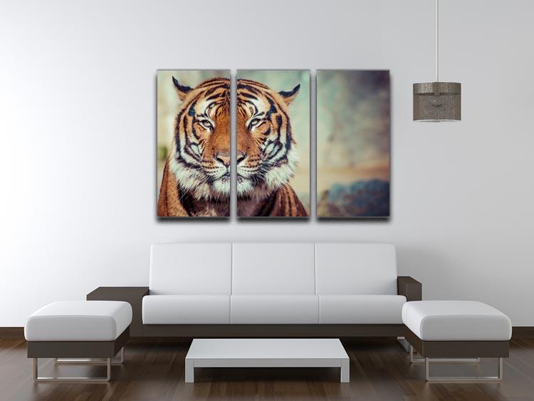 Close-up of a Tigers face 3 Split Panel Canvas Print - Canvas Art Rocks - 3