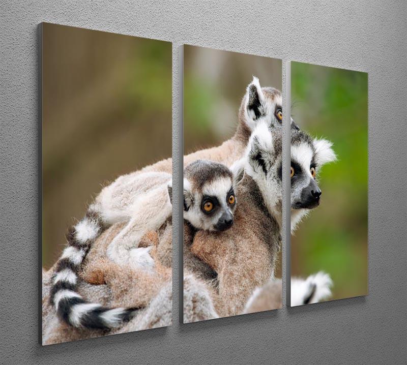 Close-up of a ring-tailed lemur 3 Split Panel Canvas Print - Canvas Art Rocks - 2