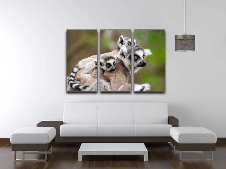 Close-up of a ring-tailed lemur 3 Split Panel Canvas Print - Canvas Art Rocks - 3