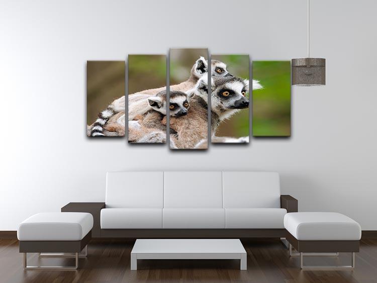 Close-up of a ring-tailed lemur 5 Split Panel Canvas - Canvas Art Rocks - 3