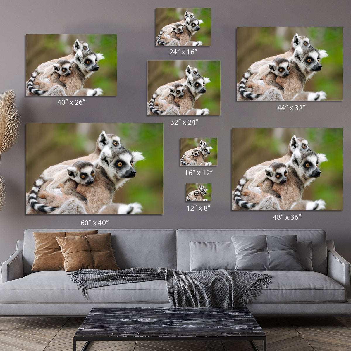 Close-up of a ring-tailed lemur Canvas Print or Poster