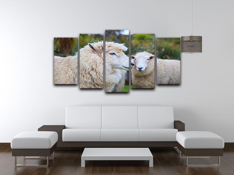 Close up face of new zealand merino sheep 5 Split Panel Canvas - Canvas Art Rocks - 3