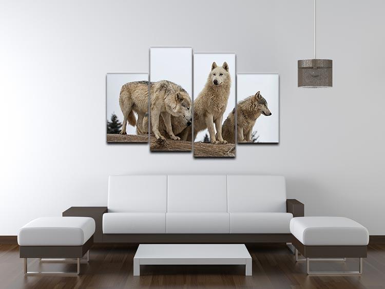 Close up image of a grey wolf pack 4 Split Panel Canvas - Canvas Art Rocks - 3