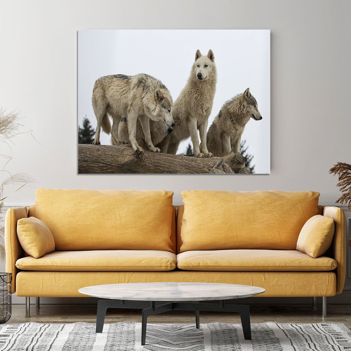 Close up image of a grey wolf pack Canvas Print or Poster