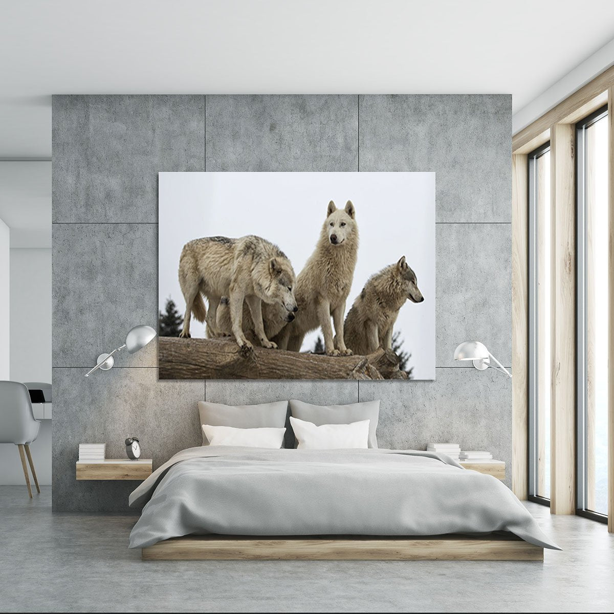 Close up image of a grey wolf pack Canvas Print or Poster