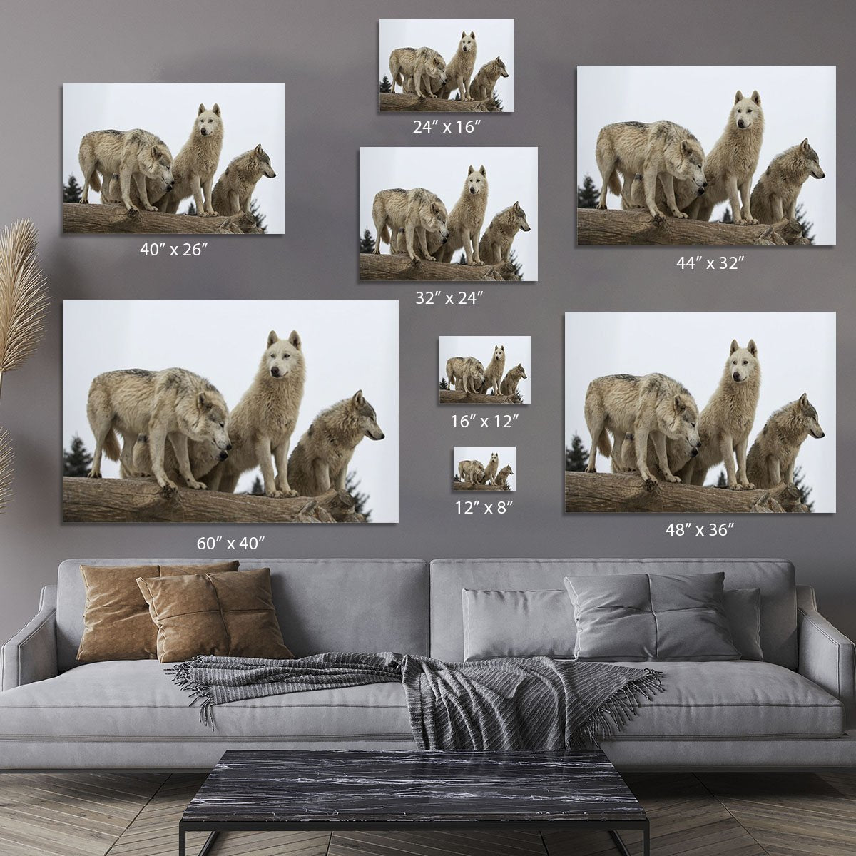 Close up image of a grey wolf pack Canvas Print or Poster