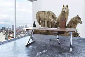 Close up image of a grey wolf pack Wall Mural Wallpaper - Canvas Art Rocks - 3