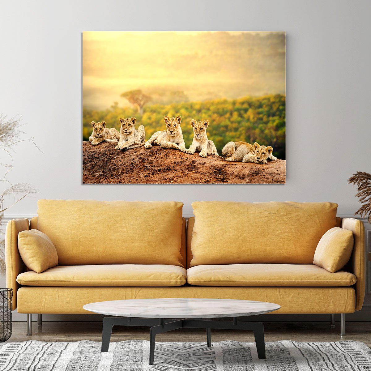 Close up of lion cubs laying together Canvas Print or Poster