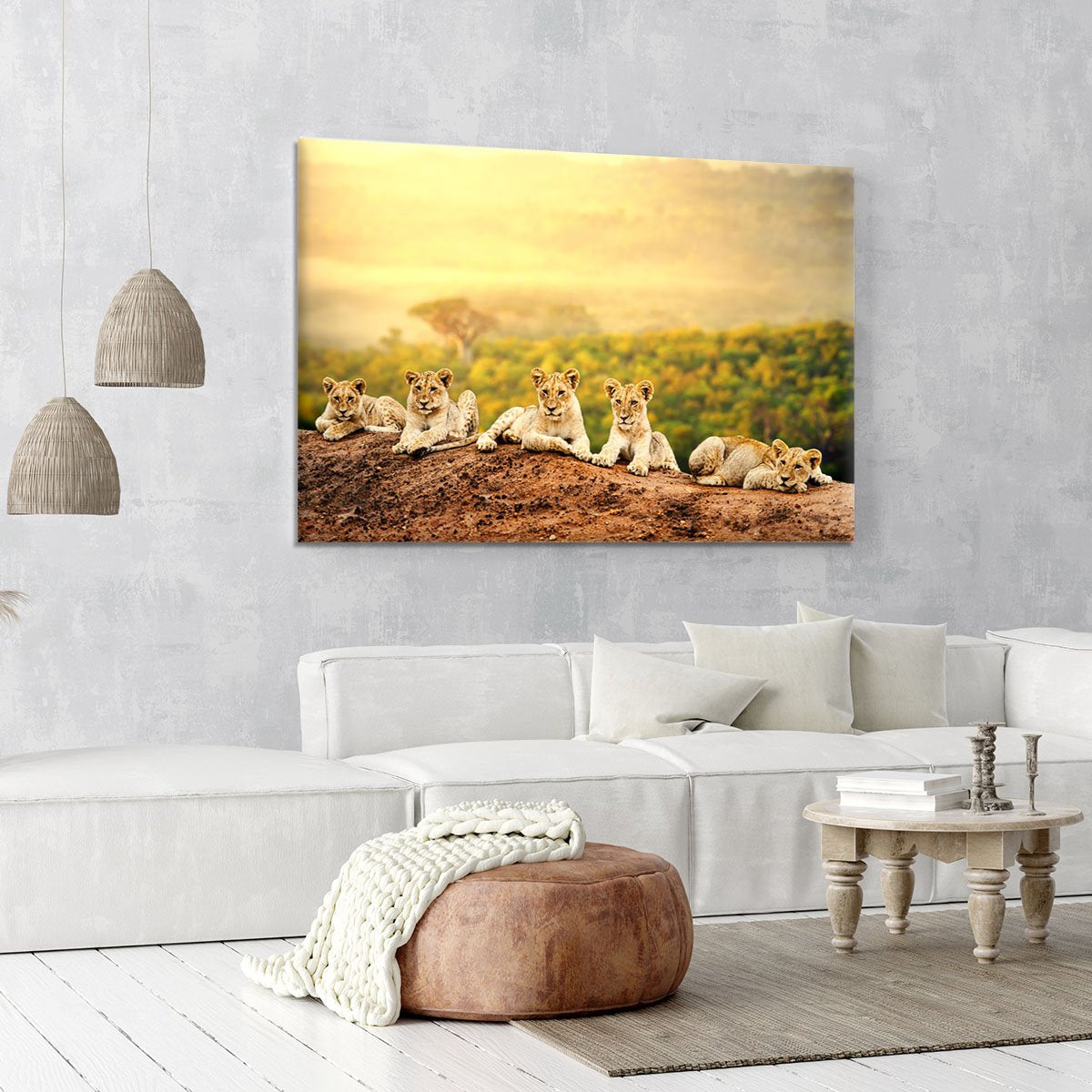 Close up of lion cubs laying together Canvas Print or Poster