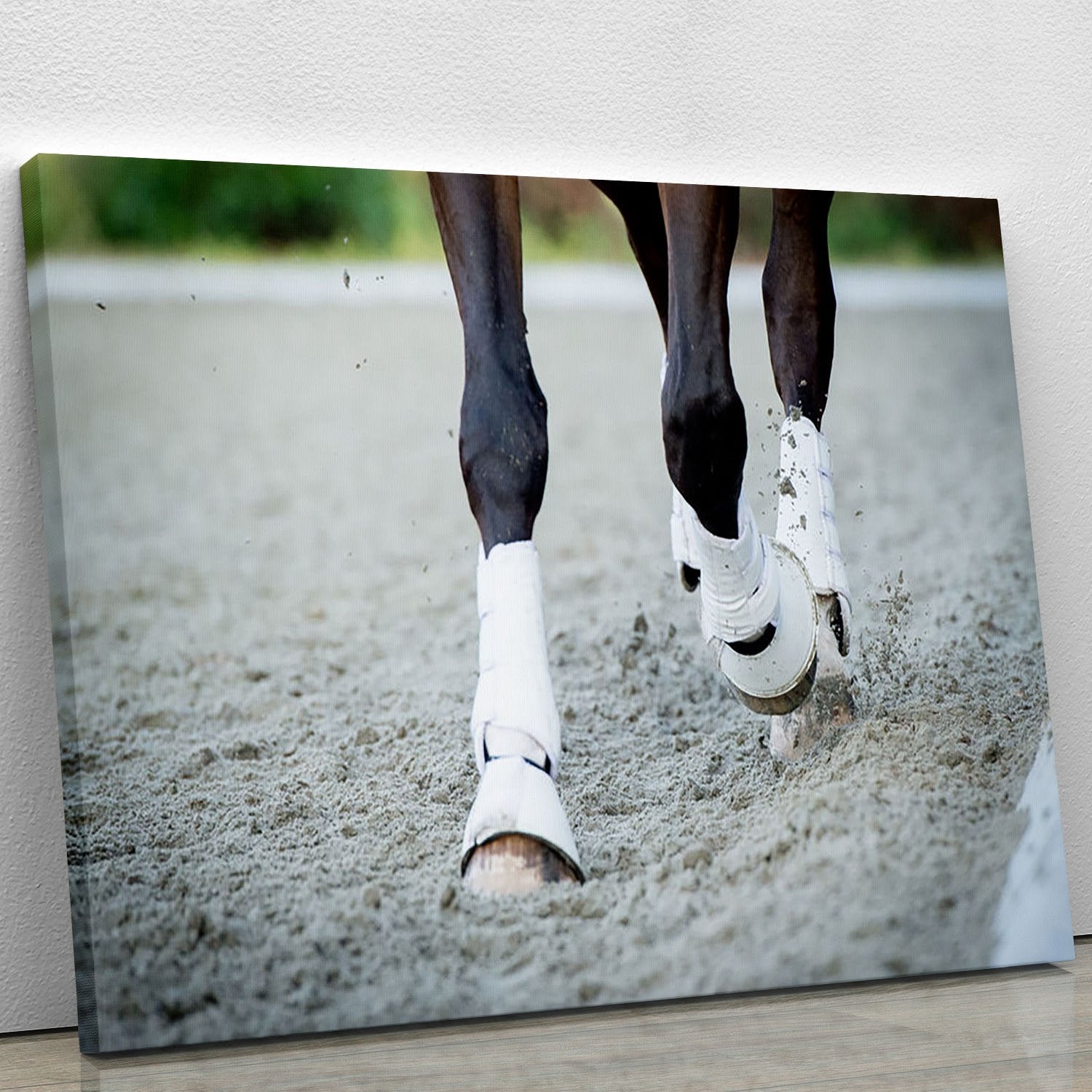 Closeup of the hooves from a horse Canvas Print or Poster