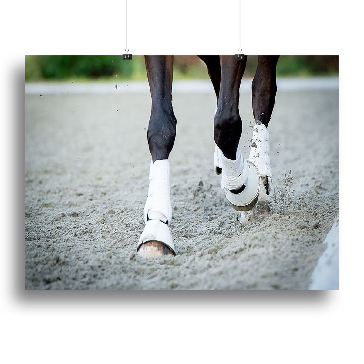 Closeup of the hooves from a horse Canvas Print or Poster