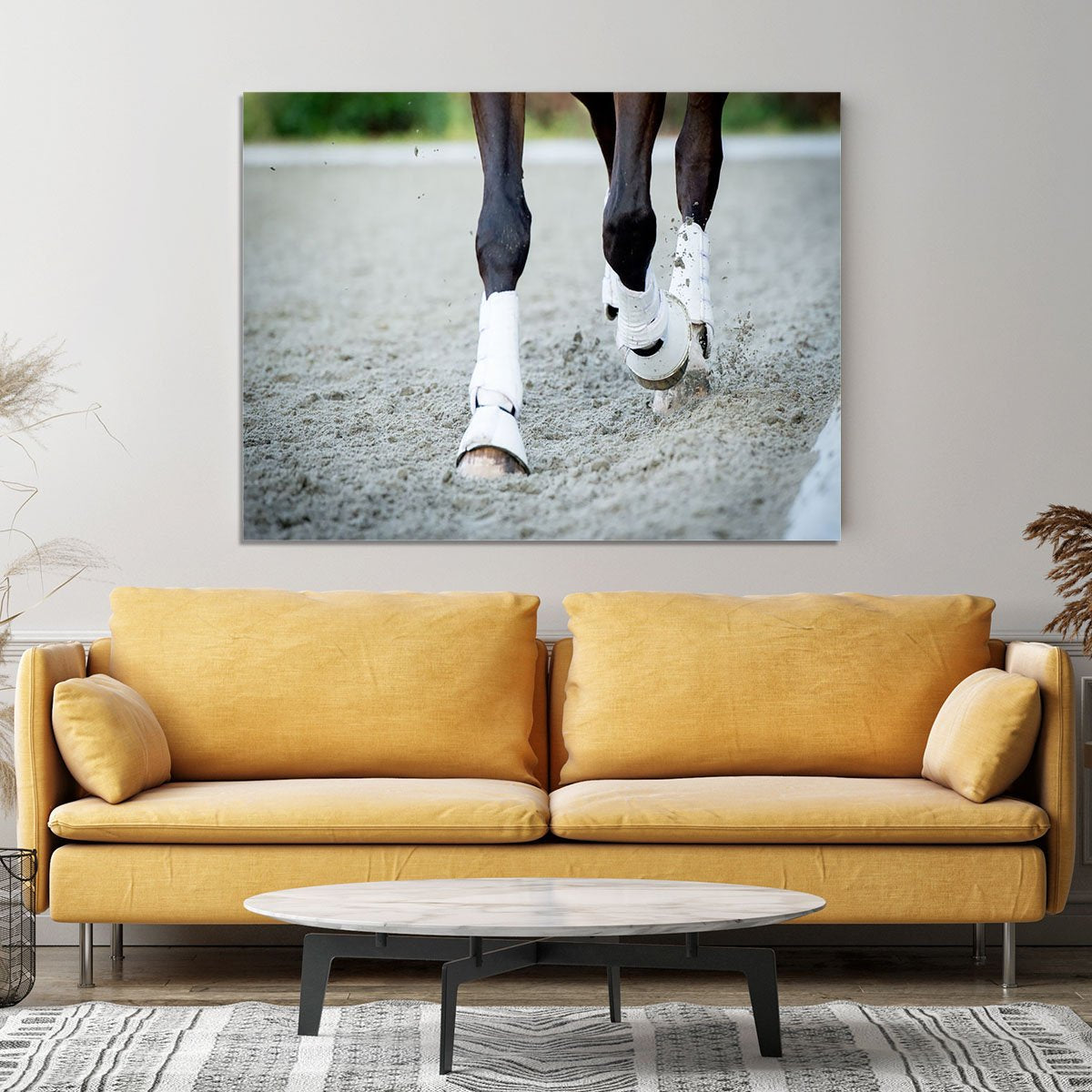 Closeup of the hooves from a horse Canvas Print or Poster