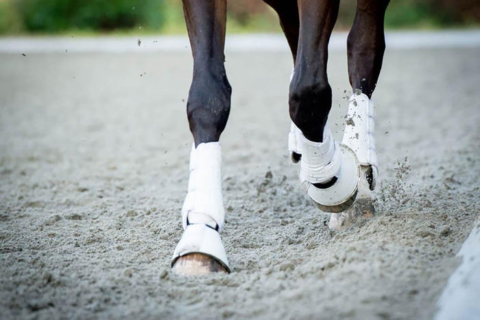 Closeup of the hooves from a horse Wall Mural Wallpaper