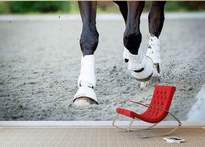 Closeup of the hooves from a horse Wall Mural Wallpaper - Canvas Art Rocks - 2