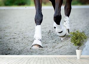 Closeup of the hooves from a horse Wall Mural Wallpaper - Canvas Art Rocks - 4