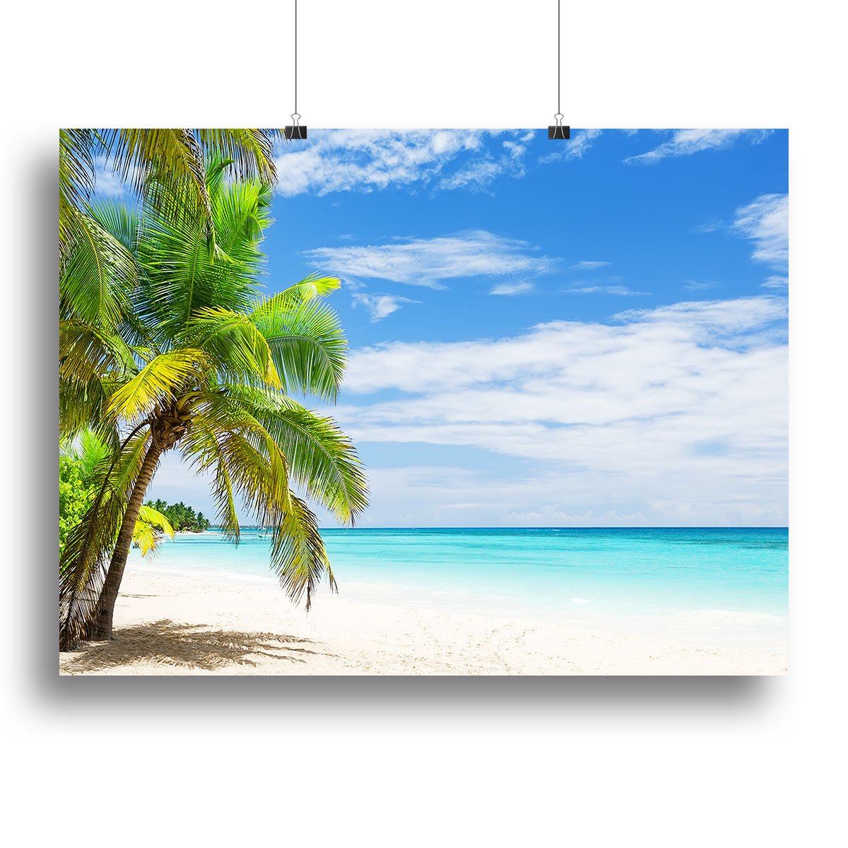 Coconut Palm trees on white sandy beach Canvas Print or Poster