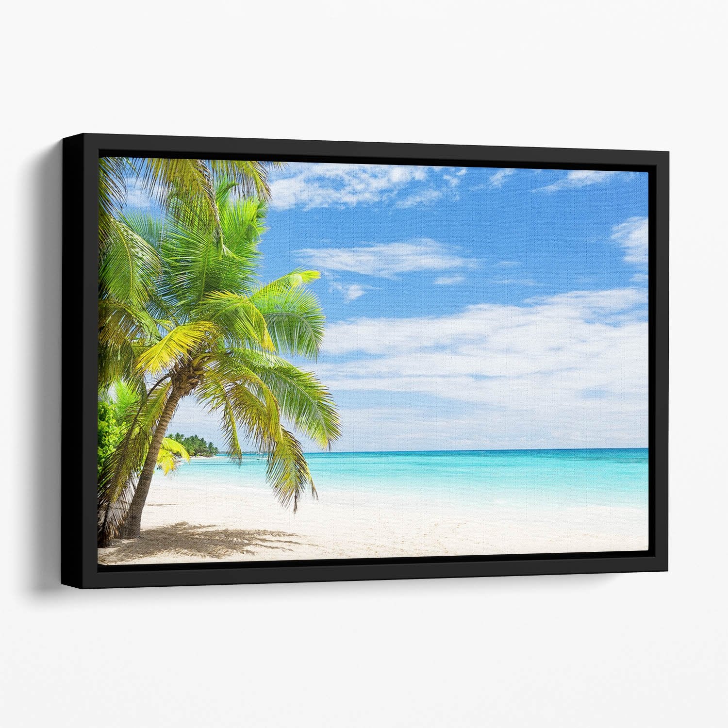 Coconut Palm trees on white sandy beach Floating Framed Canvas