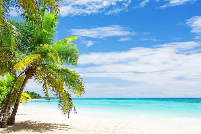 Coconut Palm trees on white sandy beach Wall Mural Wallpaper